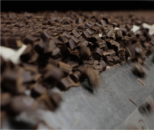 cocoa derivates manufacturing