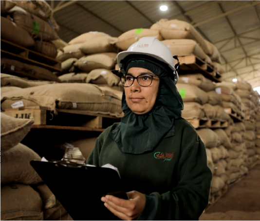 kosher parve chocolate plant