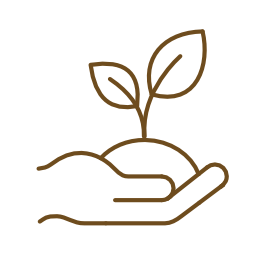 Product development phase focused on ingredients, formulations, and nutritional specifications.