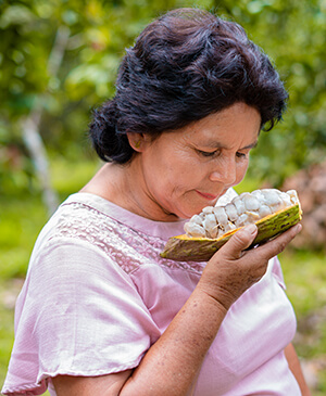 cacao cultivado por agricultores aliados