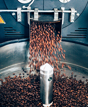 Transformación en derivados del cacao