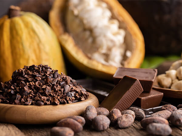 producción de cacao y chocolate a granel