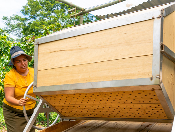 Hexagonal fermenter box program