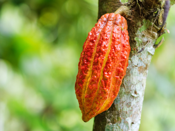 clima paisaje project