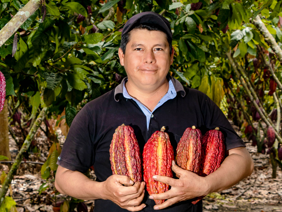 rostros del cacao iniciative