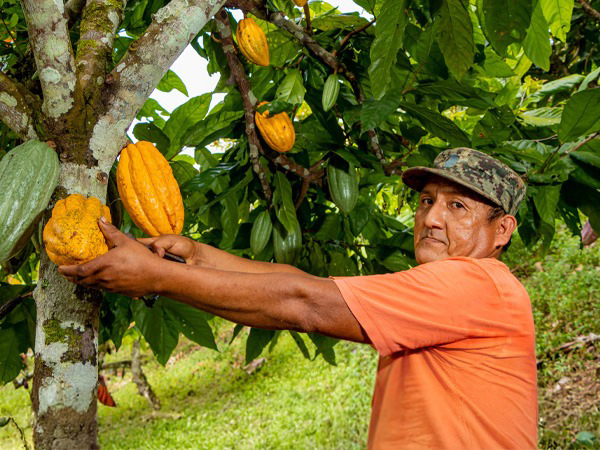 crece agricultor project