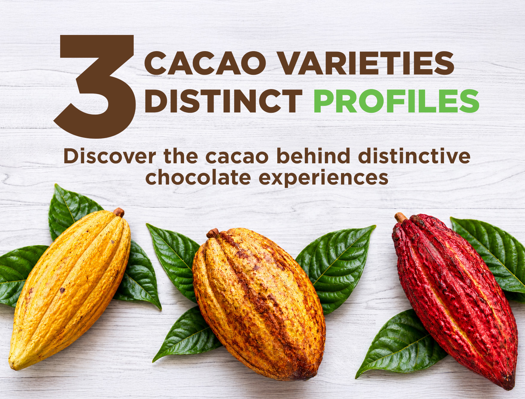 Cocoa Varieties: Discover Their Characteristics and Flavor Profiles